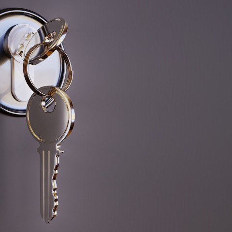 Interesse in woningisolatie in Flevoland met 41 procent gestegen