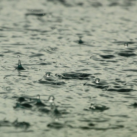 Extreem natte start van oktober in Flevoland