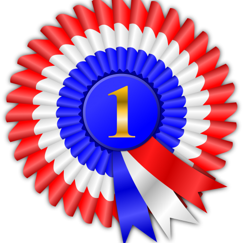 Feestelijke uitreiking Lelyprijs 2020 uitgesteld!