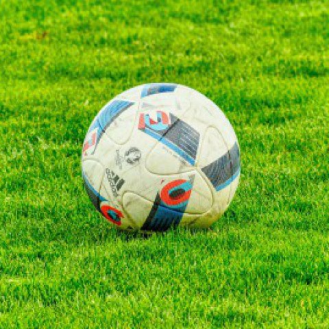 Almere City FC huurt Elias Sörensen van Newcastle United