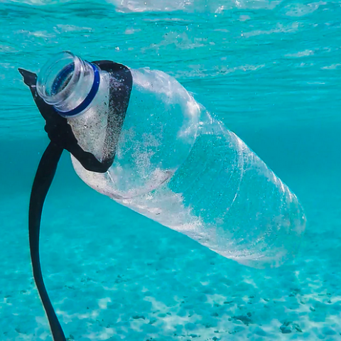 Wilde Weetjes over microplastics