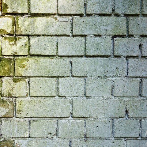 'Blij met de serieuze schimmelaanpak in huurwoning'