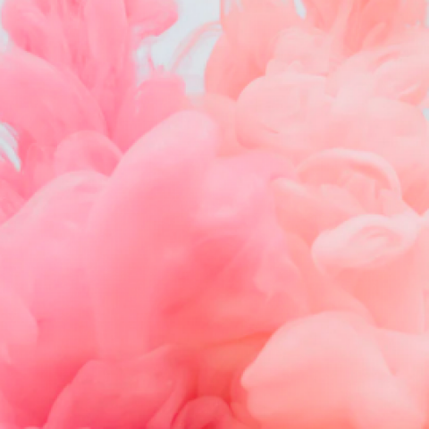 Pink Pony-campagne is het wereldwijde initiatief van Ralph Lauren in de strijd tegen kanker