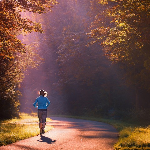 Run for KIKA