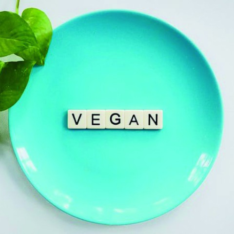 Vegan lifestyle