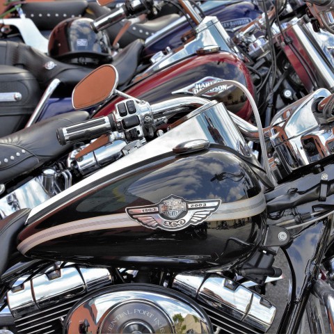 Motorrijden niet erg populair in Flevoland 