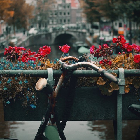 Telefoongebruik op fiets vanaf morgen verboden