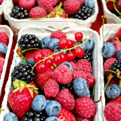 Smaackmakers wil eten in centrum gezonder maken