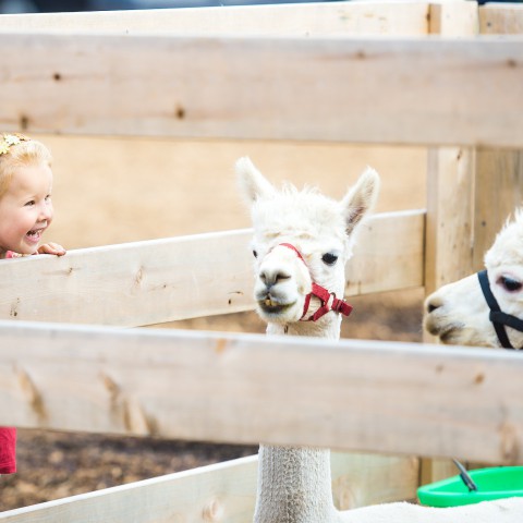 Dierendag vier je op de kinderboerderijen van Stad & Natuur
