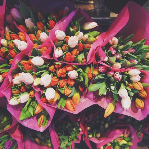 81-jarige eenzame Almeerse krijgt bloemen van Ali B  