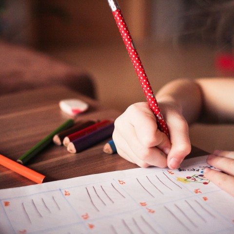 Aantal aanmeldingen voor Zomerschool loopt storm  