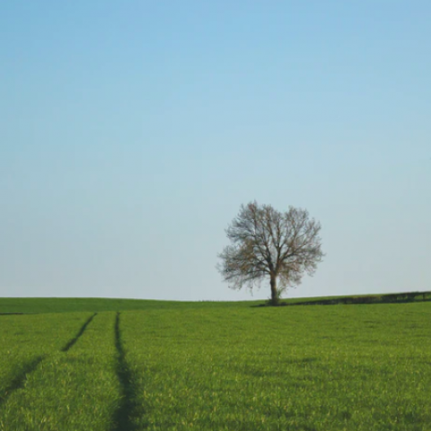 Flevoland biedt zich aan als dé ontwikkelregio