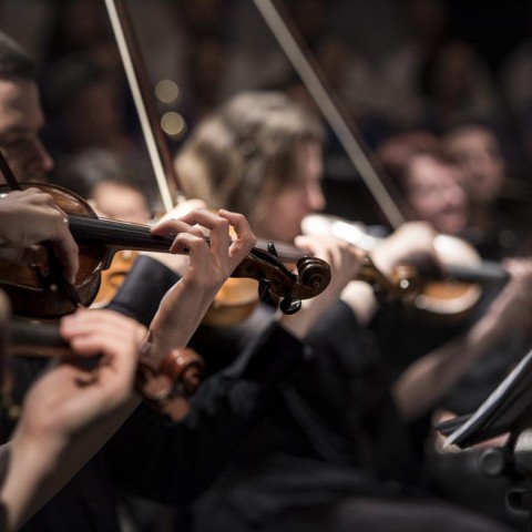 Jaarlijkse Matineeconcert van Almeers Jeugd Symfonie Orkest (AJSO) 