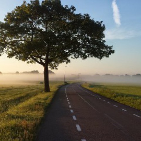 Campagne ‘Nederland plant bomen’ 