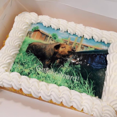 20 jaar werken bij De Stek
