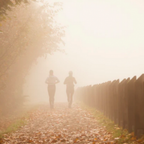 Het is vandaag de warmste 2 november ooit 