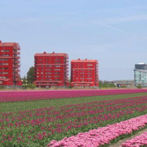 De toerist ontdekt nu ook Almere