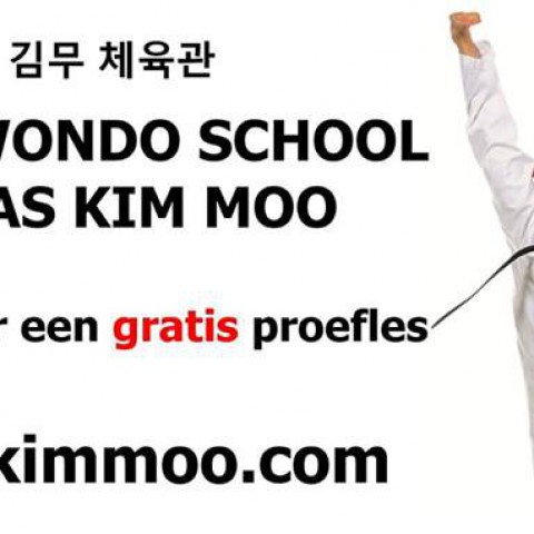 Taekwondo (proef)lessen voor alle leeftijden