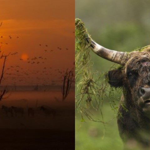 Oktober Wandelmaand in nationaal park Nieuw Land 