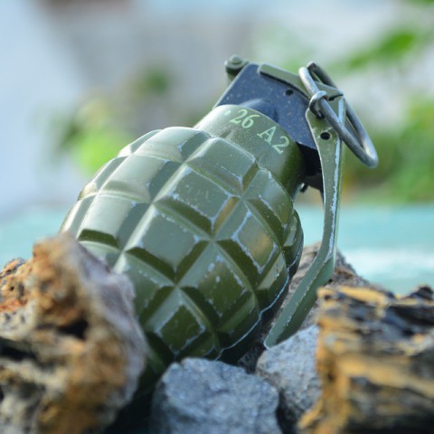 VVD vraagt om plan voor bestrijding georganiseerde misdaad