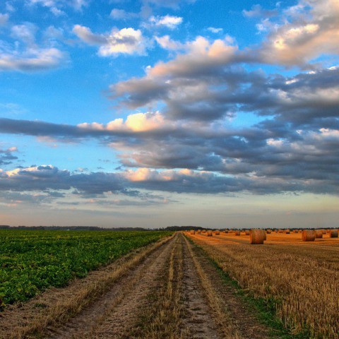 Boer moet grond geven aan waterschap