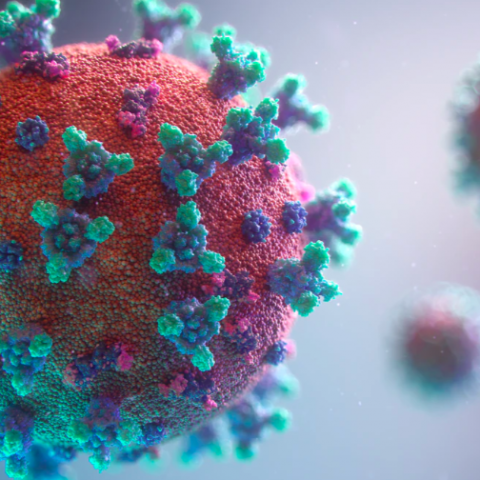 Almeerder overleden na besmetting coronavirus