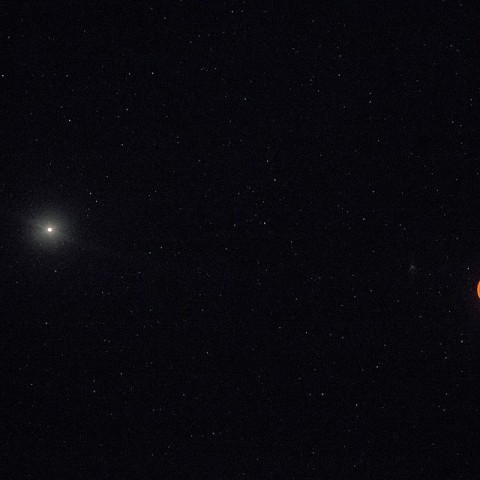 Bloedmaan goed te zien in Flevoland