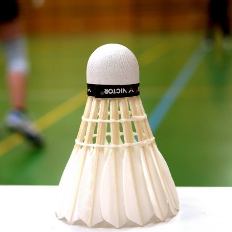Finaleplaats ver weg voor badmintonners