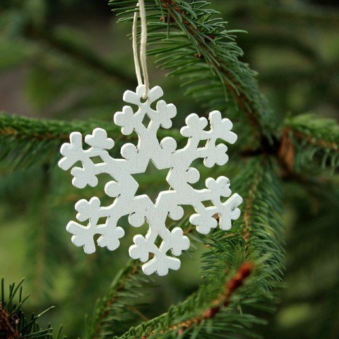 Kerstboominzameling!