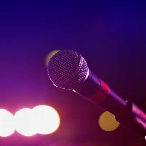 Onze Almeerse Talita naar liveshows The Voice