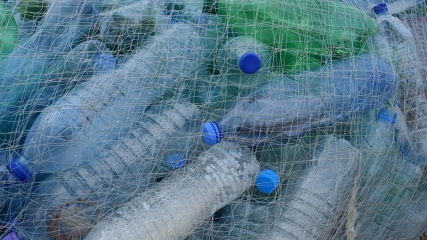Boswachters ruimen plastic Vlieland op