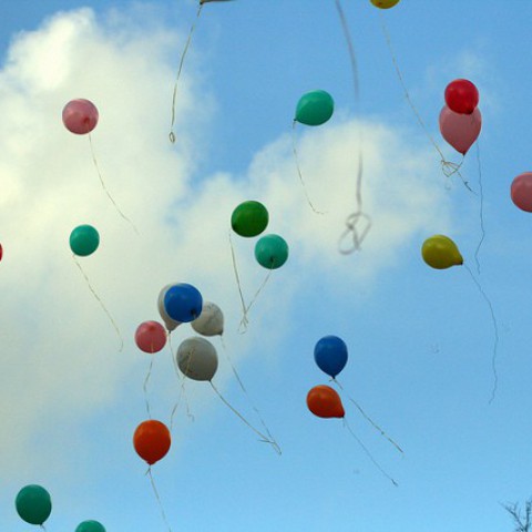 Stelling: Oplaten van ballonnen moet verboden worden in Almere