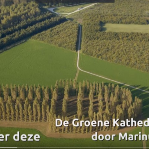 Kunst in de natuur: De Groene Kathedraal