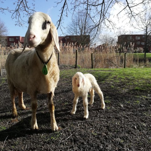Volop lente bij Stad & Natuur