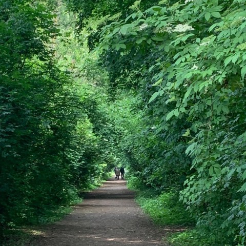 Stadspark