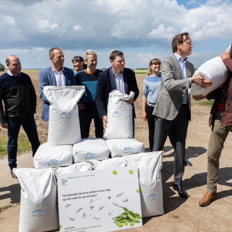 Flevolandse boeren telen verse sojaboontjes