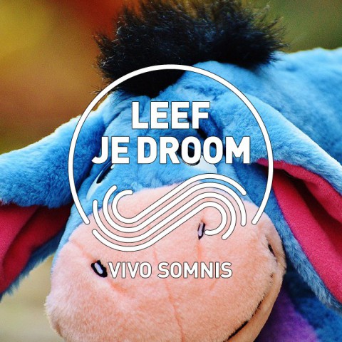 Het belang van je eigen mening volgen
