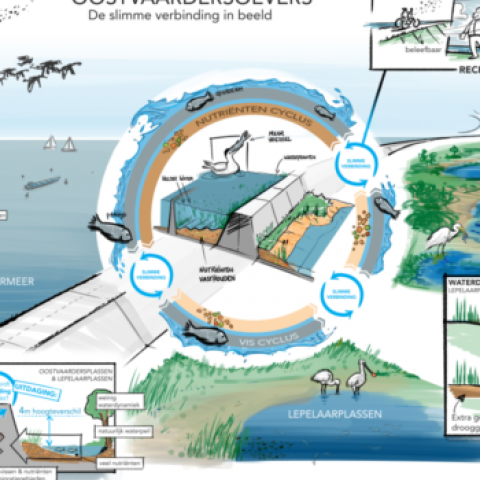 Oostvaardersoevers: De slimme verbinding