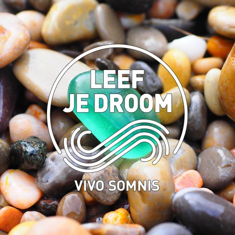 De meester en de stenen