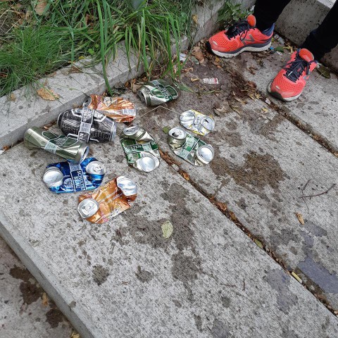 Ploggen in Almere tijdens de World Cleanup Day