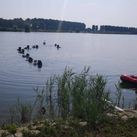 Duikvereniging Narwal Almere ruimt waterkant Schateiland op voor Camping Waterhout