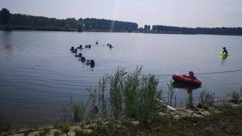 Duikvereniging Narwal Almere ruimt waterkant Schateiland op voor Camping Waterhout