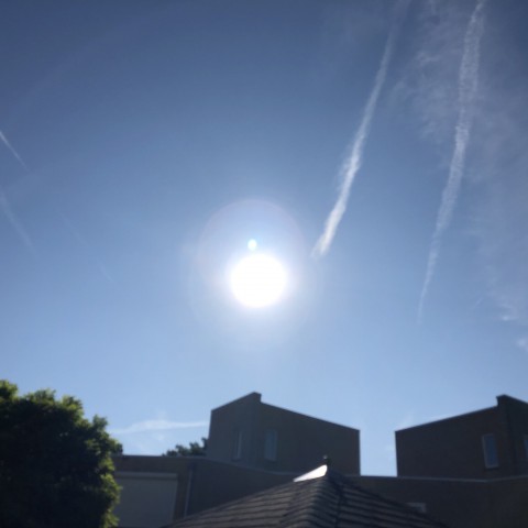 Zomers tot tropisch warm