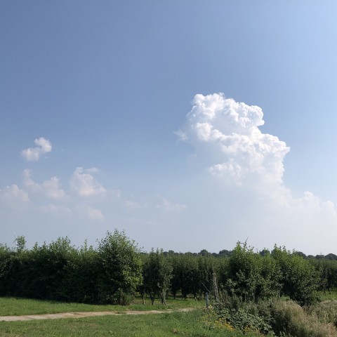Zwoel met zon en wolken, later buien