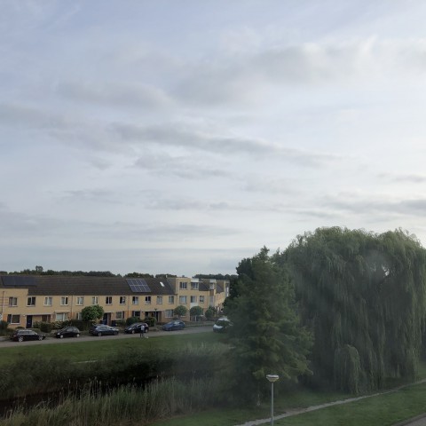 Zon en wolkenmix, tot in de avond droog.