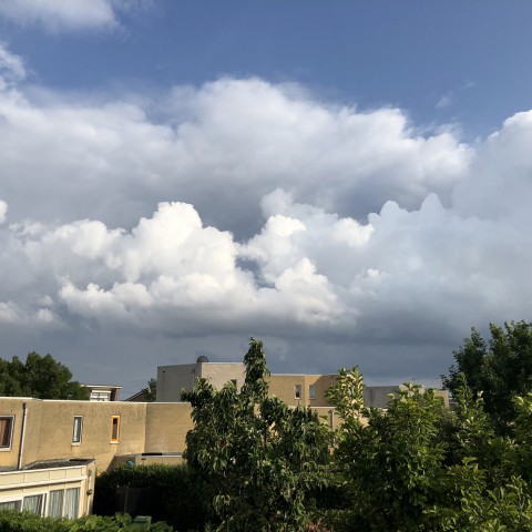 Hollands zomerweer