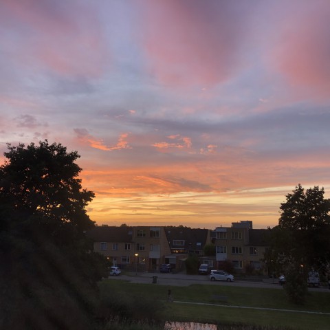 Regenachtig, later wat zon.