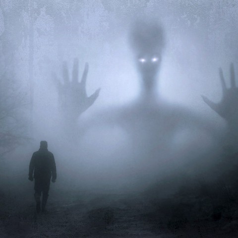 10% korting op Horror evenement scare me Almere-Haven 