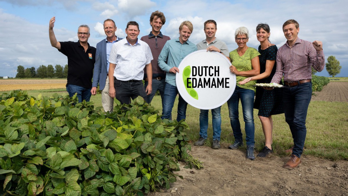 Proef Dutch Edamame - verse soja van Flevolandse bodem
