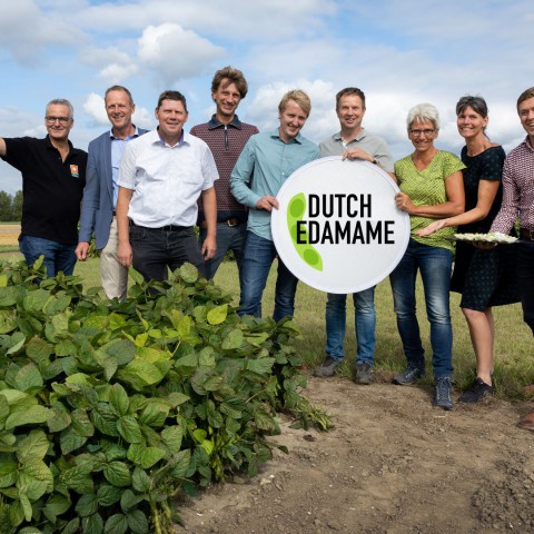 Proef Dutch Edamame - verse soja van Flevolandse bodem